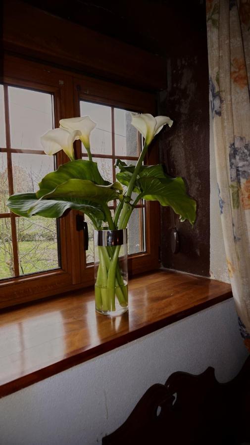 Arriola Txiki Guest House Itziar Luaran gambar